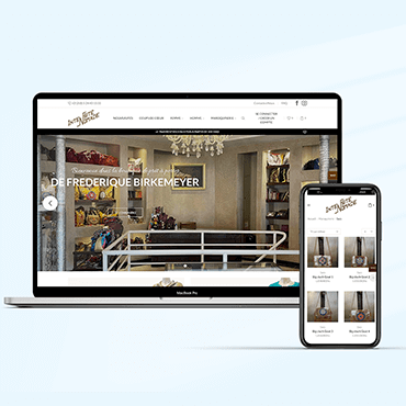 web developement